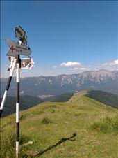 The way down to Busteni.: by steve_and_emma, Views[426]
