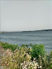 The mighty Danube which played a bit part in our trip.: by steve_and_emma, Views[229]