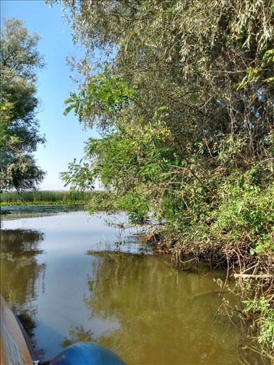 Heading down the channels into the delta.