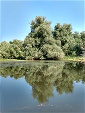 by steve_and_emma, Views[224]