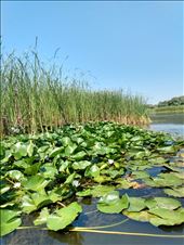 by steve_and_emma, Views[221]