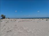 The beach at Sfantu Gheorghe, the first time we had been to the Black Sea.: by steve_and_emma, Views[231]