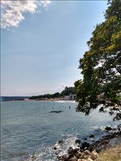 We enjoyed a nice walk along the coast.: by steve_and_emma, Views[241]