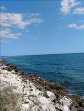 by steve_and_emma, Views[251]