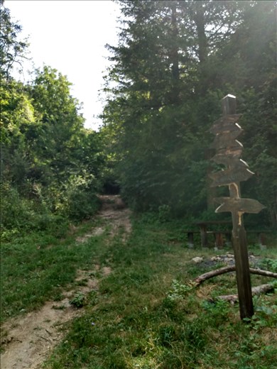 The start of the trail up the hill through the forest.
