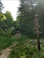 The start of the trail up the hill through the forest.: by steve_and_emma, Views[279]
