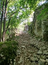 by steve_and_emma, Views[257]