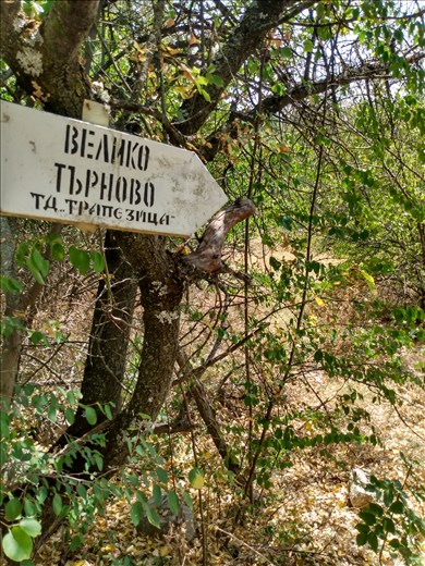 We managed to track down a different route back.