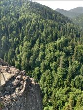 by steve_and_emma, Views[275]