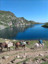 by steve_and_emma, Views[196]