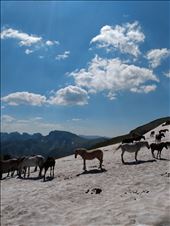 by steve_and_emma, Views[211]