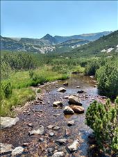 by steve_and_emma, Views[267]