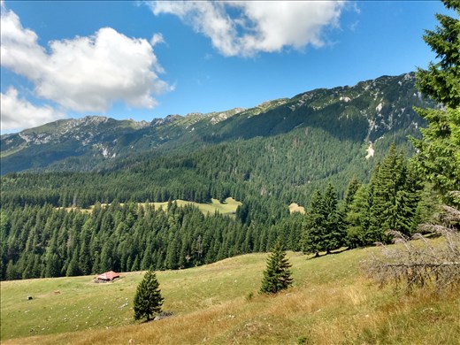 Heading back down on  a different trail which was no where near as steep.