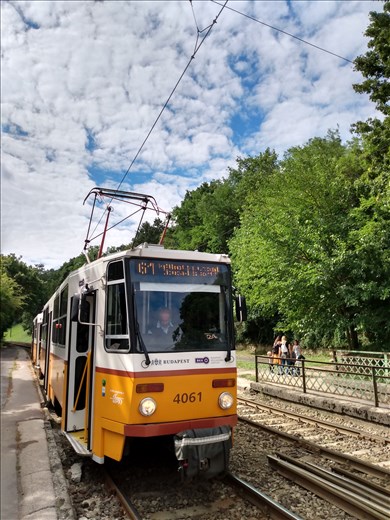 The tram system is excellent and we took this tram to the end of the line to a forest area on the edge of the city for a walk.