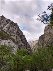 by steve_and_emma, Views[229]