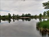 Mures Floodplain Natural park near Arad is a nice forest to explore near Arad.: by steve_and_emma, Views[153]