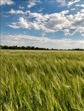 by steve_and_emma, Views[358]