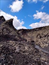 by steve_and_emma, Views[219]