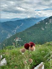 by steve_and_emma, Views[345]