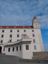 by steve_and_emma, Views[205]