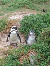 by steve_and_emma, Views[197]