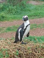 by steve_and_emma, Views[196]