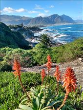 by steve_and_emma, Views[288]