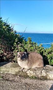 by steve_and_emma, Views[325]