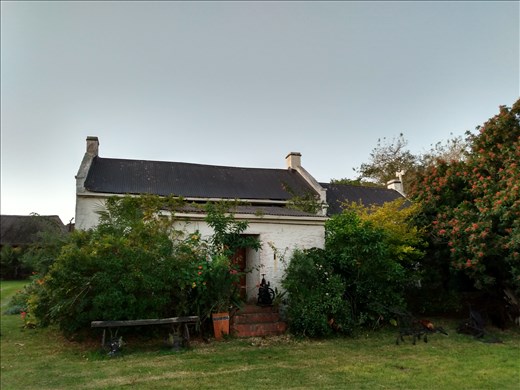 The bush had almost claimed Morley House when we got back!