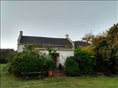 The bush had almost claimed Morley House when we got back!: by steve_and_emma, Views[246]