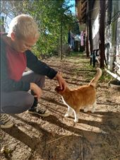 It was great to see Kili cat and she seemed to remember us. We are so happy that Eric and Clara are looking after her so well.: by steve_and_emma, Views[175]