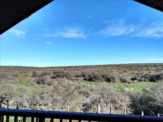 The view from our tent in Addo. We were lucky to see a Rhino during the night.
