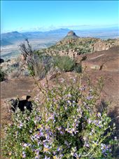 by steve_and_emma, Views[182]