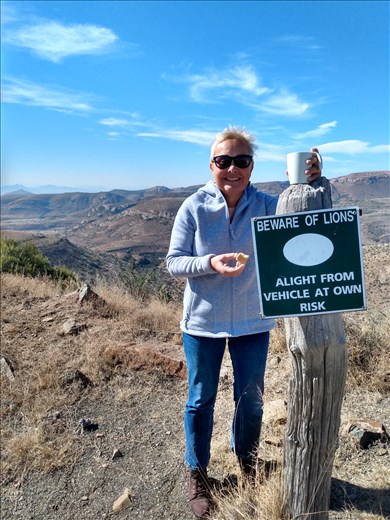 Never seen lions in Mountain Zebra NP so pretty safe.