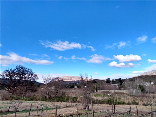 The view from our guesthouse in Barrydale.