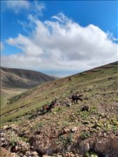 by steve_and_emma, Views[307]