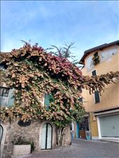 by steve_and_emma, Views[239]