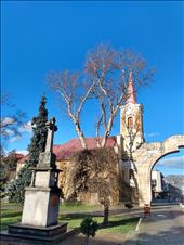 The main square in Carensebes.: by steve_and_emma, Views[265]
