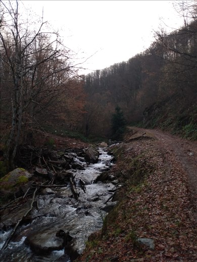 Near the start of the trail to Muntele Mic.