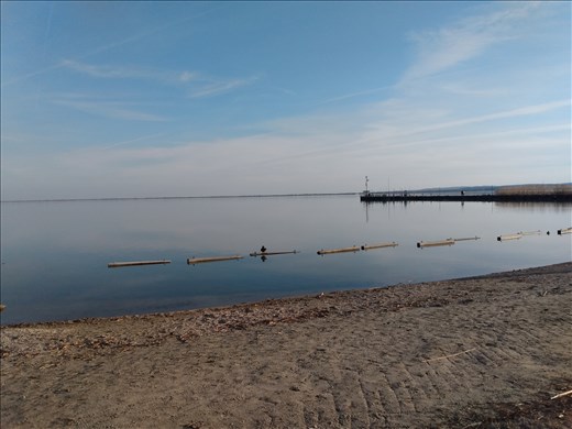 Lakeshore at Balatongyorok.