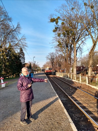Emma flagging the train down.