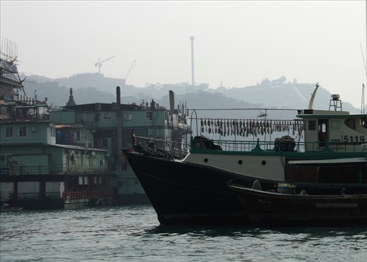 The days catch, fishing is a big part of life by the water in HK.
