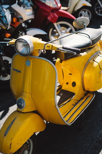 The color of this city. San Francisco.