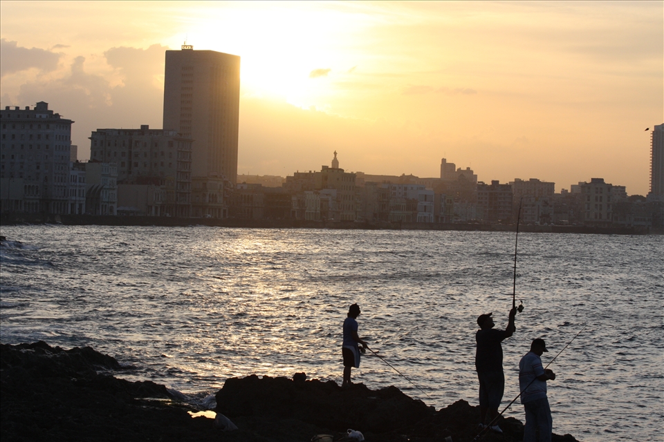 Aspects of the traditional fishing culture continue in the city.