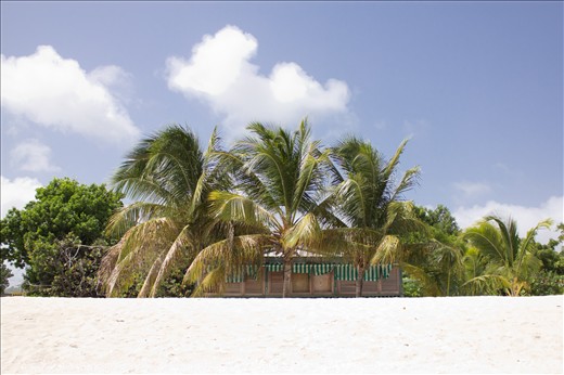 St Martin peace under the palm trees.