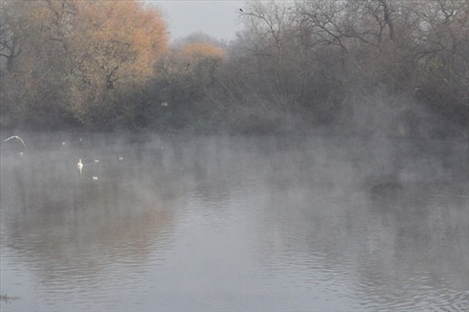 London Fog at Lee valley Tottenham Hale