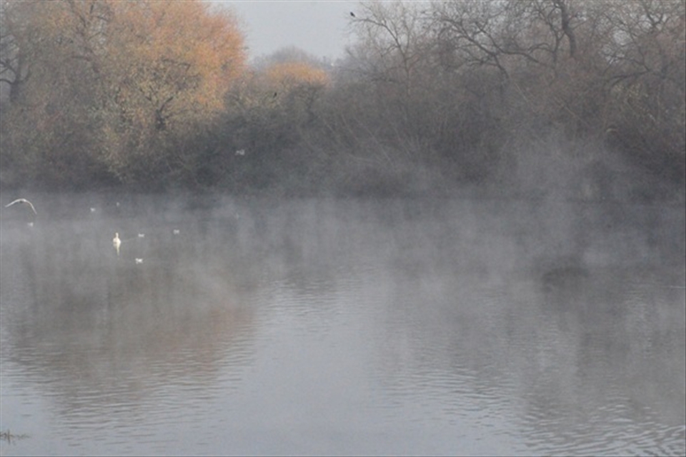London Fog at Lee valley Tottenham Hale