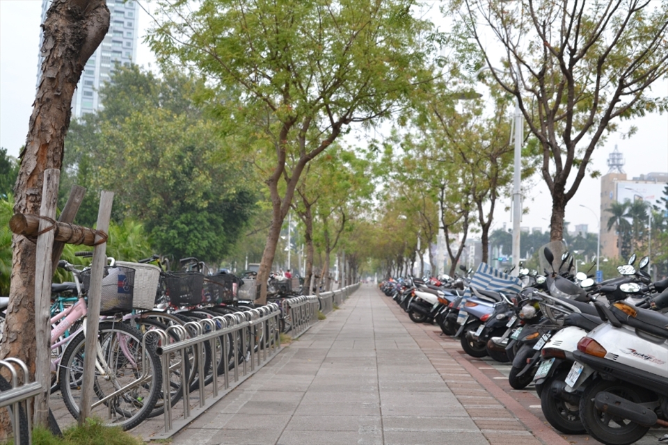 This is a very typical scene you get to see in Taiwan as bicycles and scooters are their typical mode of transport around Taiwan. Therefore, this photo clearly shows there are even seperate parkings for bicycles and scooters all over Taiwan. 