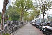 This is a very typical scene you get to see in Taiwan as bicycles and scooters are their typical mode of transport around Taiwan. Therefore, this photo clearly shows there are even seperate parkings for bicycles and scooters all over Taiwan. : by storythroughthelens, Views[237]