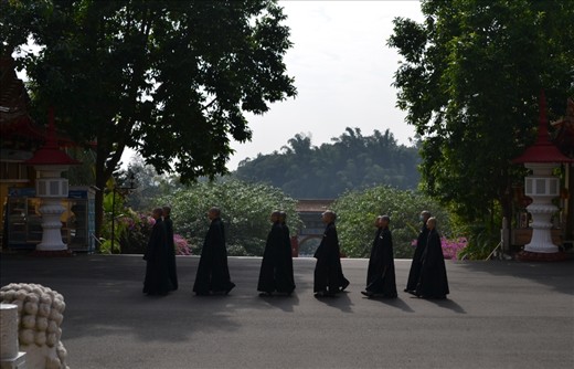 This photo portrays peace and discipline found in monks as they walk in perfect straight lines towards their next destination. 